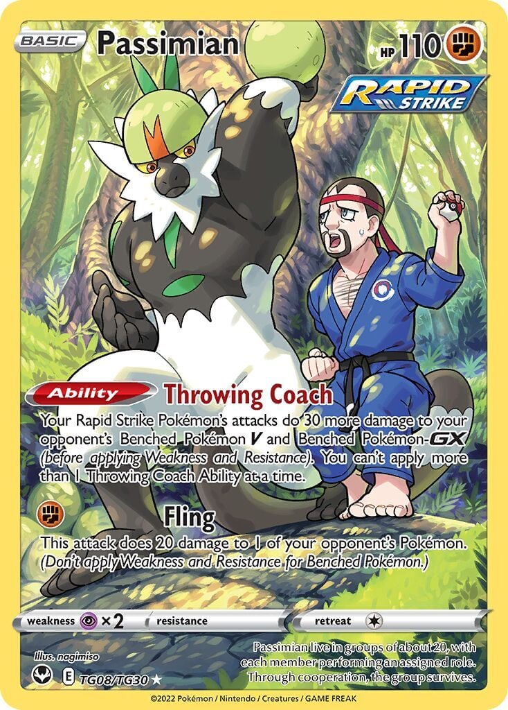Passimian TG08/TG30 - Silver Tempest